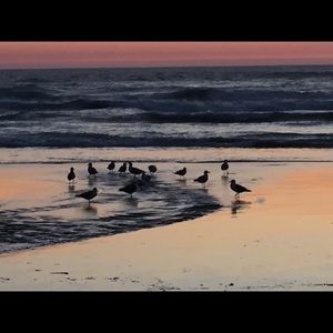 Meet your Posher, Chantel